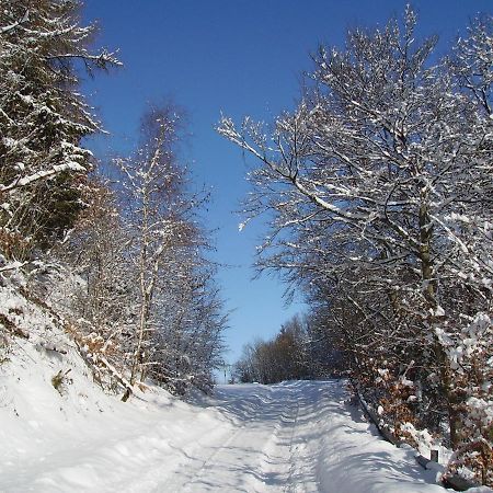 Ferienwohnung Sauerlandblick Goldhausen Bagian luar foto