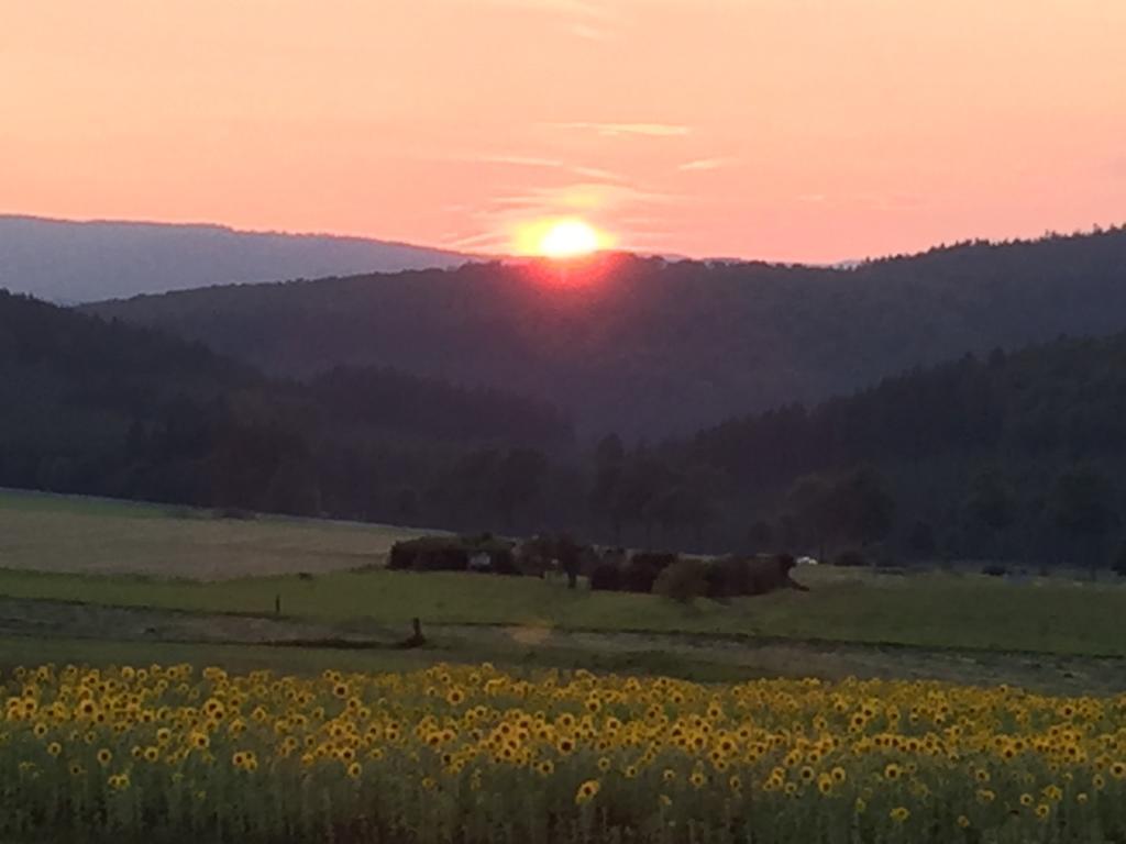 Ferienwohnung Sauerlandblick Goldhausen Bagian luar foto
